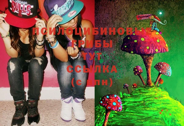 MDMA Алексеевка