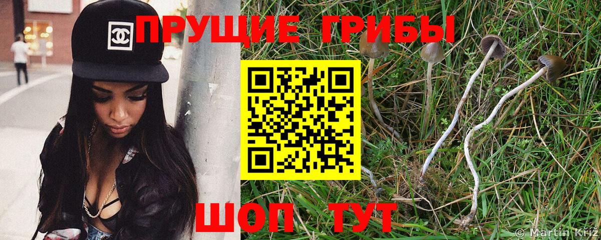 Псилоцибиновые грибы мицелий Крымск